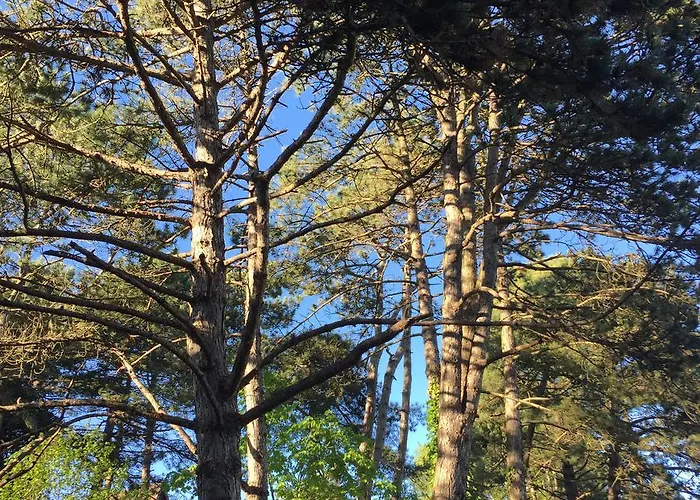 Bed & Breakfast Demeure D'hotes Haec Otia