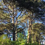 Bed and Breakfast Demeure D'hotes Haec Otia