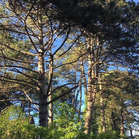 Bed & Breakfast Demeure D'hotes Haec Otia